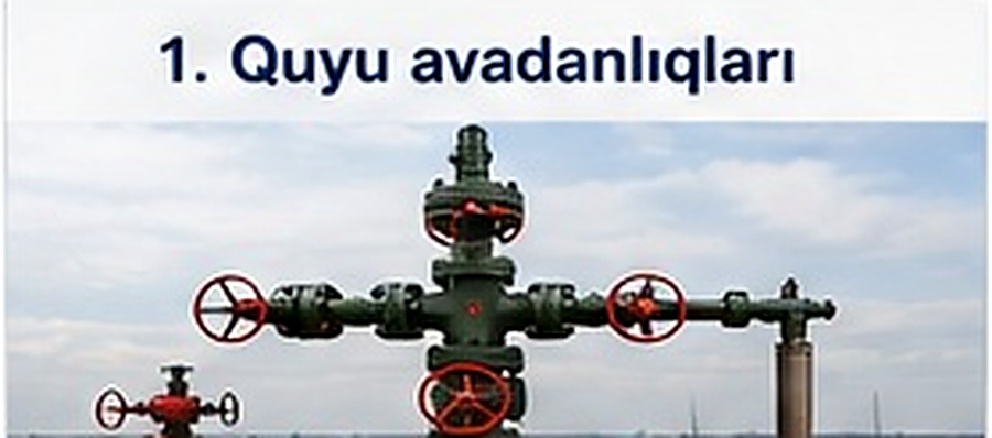 Quyu avadanlıqları